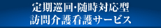 定期巡回・随時対応型訪問介護看護サービス